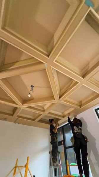 Ceiling work service